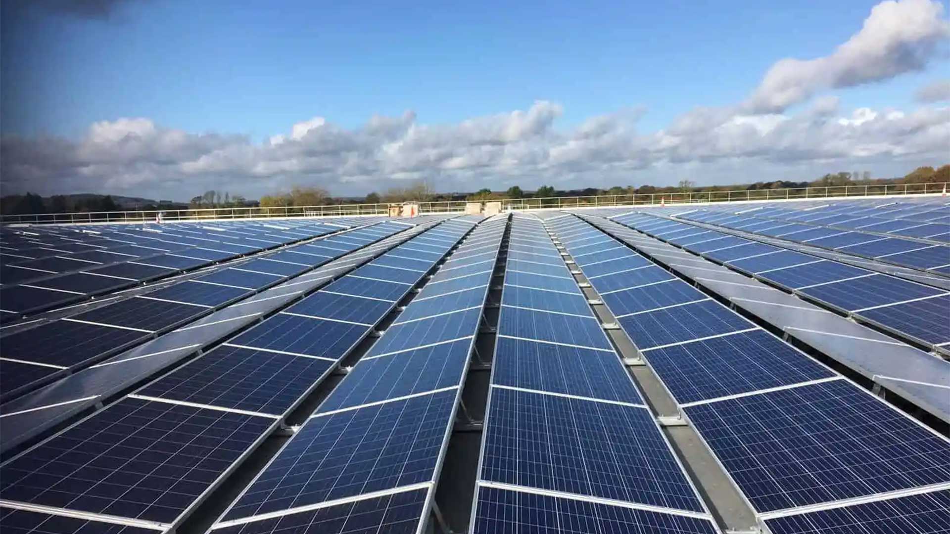 A vast array of solar panels under a clear blue sky, representing the OCEC solar panel project focused on sustainability and renewable energy initiatives.